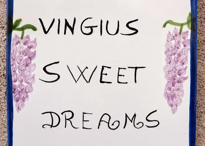 Vingius Sweet Dreams * Minori